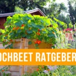 hochbeet-ratgeber