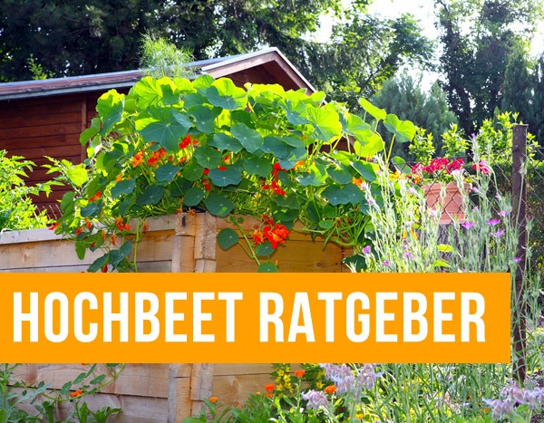 hochbeet-ratgeber