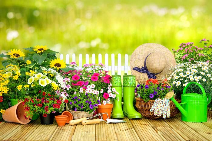 pflegeleichte-gartenpflanzen