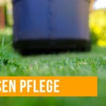 rasen-pflege-wohnjournal