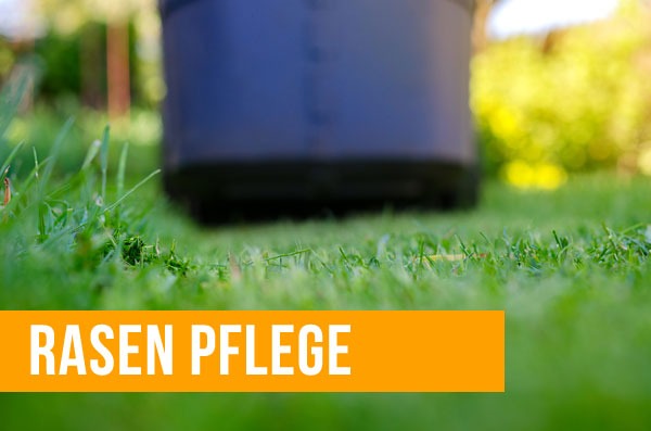 rasen-pflege-wohnjournal